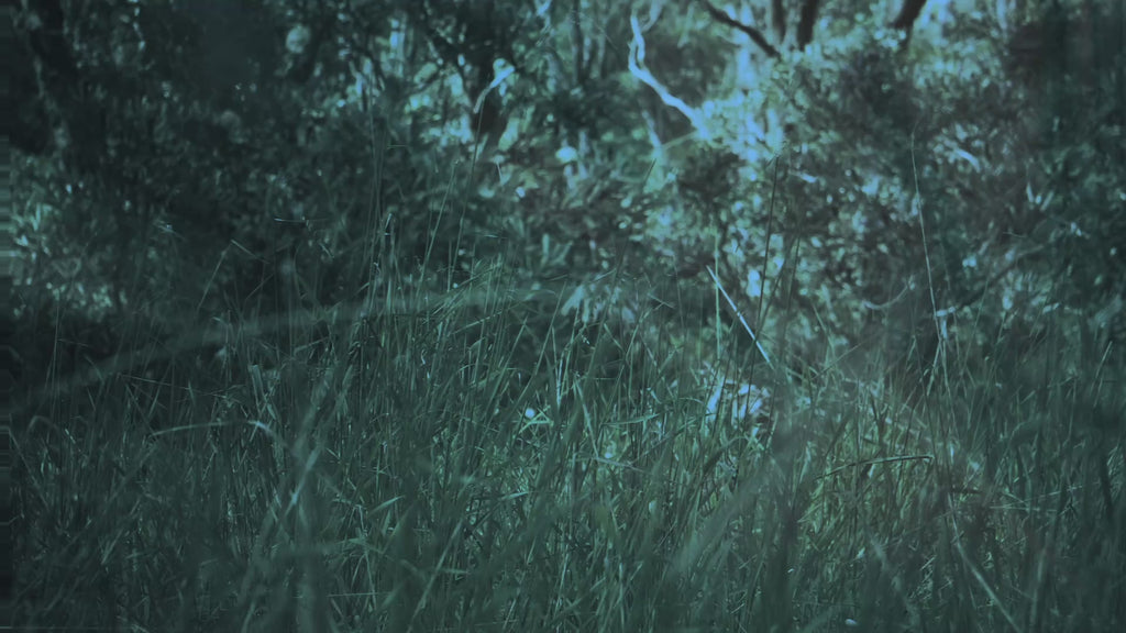 They Have Arrived - Audio and Visual Sample Pack