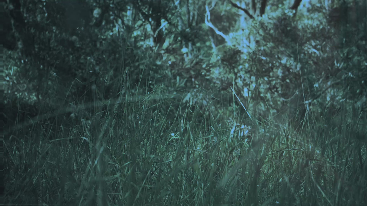 They Have Arrived - Audio and Visual Sample Pack
